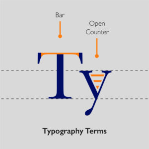 type anatomy Type Thumbnail