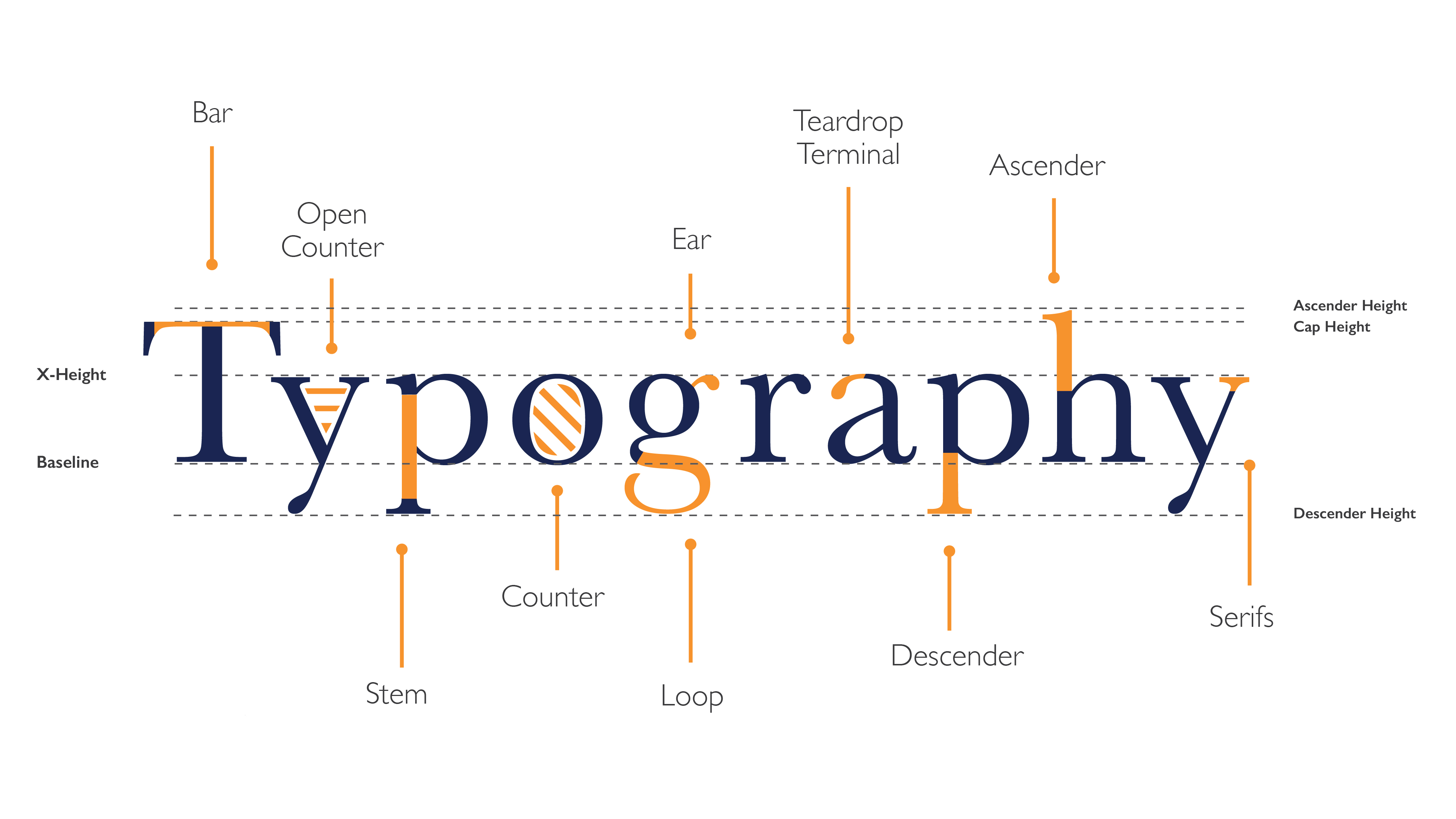 Get familiar with Type Anatomy Yes I'm a Designer