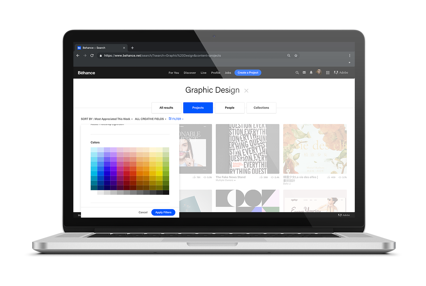 color search design portfolio