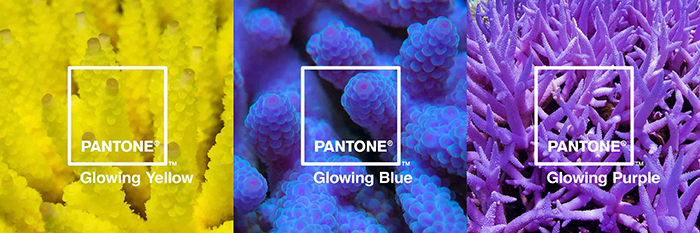 glowing-glowing-gone-01_glowing-palette