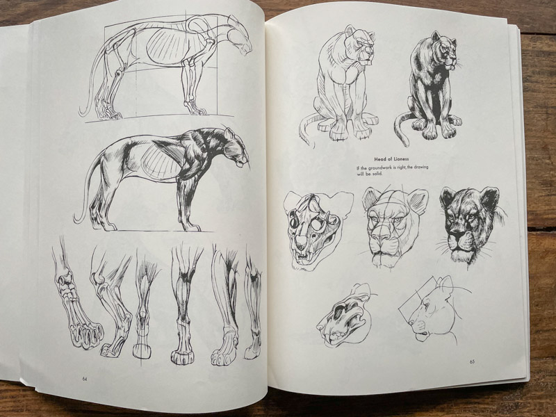 10 books that will help you improve your drawing skills - Yes I'm