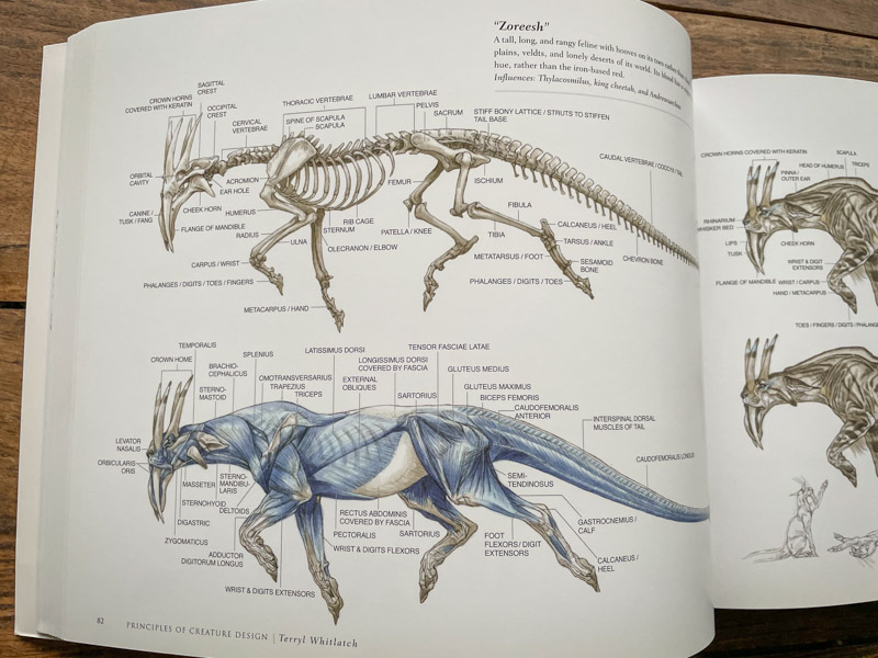 10 books that will help you improve your drawing skills - Yes I'm a Designer